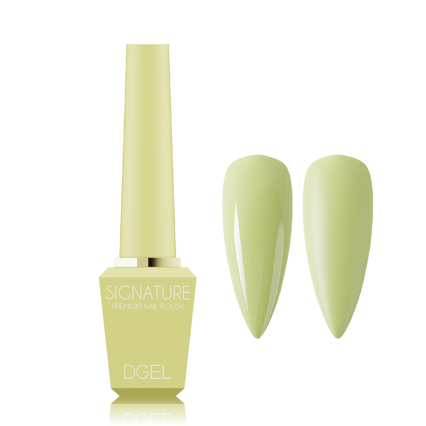 DGEL Signature Gel - DS.034 | Korean Gel Polish