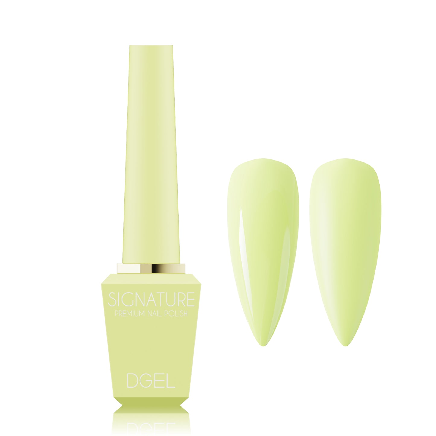 DGEL Signature Gel - DS.042 | Korean Gel Polish